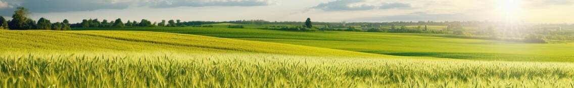 banner-why-biofit