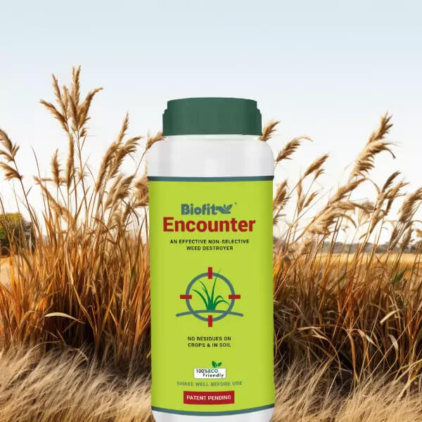 Encounter New 1 Ltr