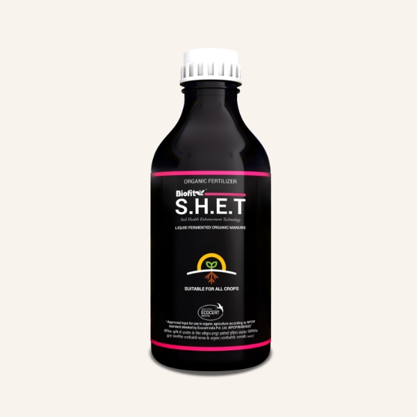 S.H.E.T 500
