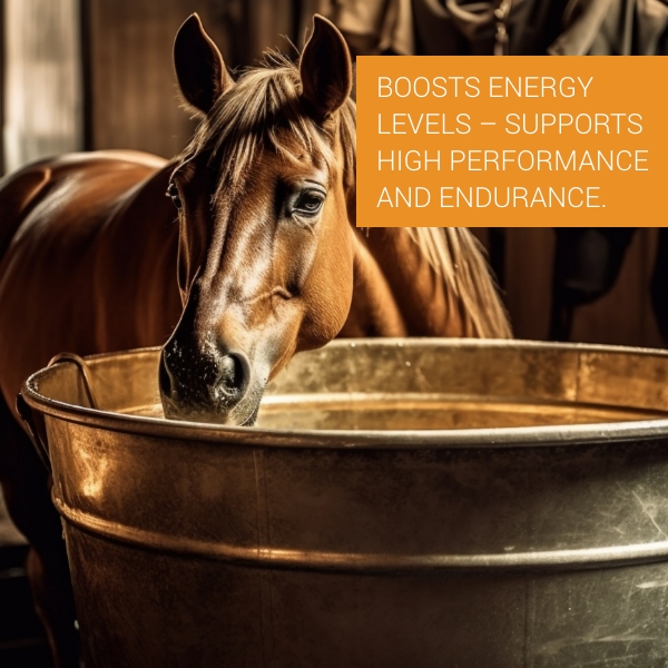  Pet Vet Advanced Feed Supplement 250 Gm