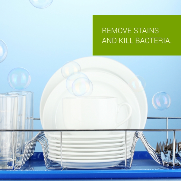 Clean & More Dish Washing Liquid