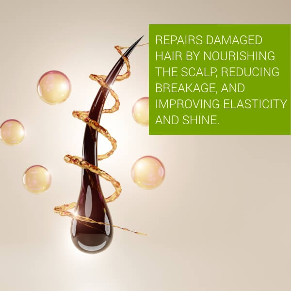 Scalp Renaissance Antihair Fall Shampoo