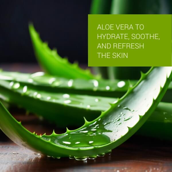 Moisturizing Soap Pack Of 5