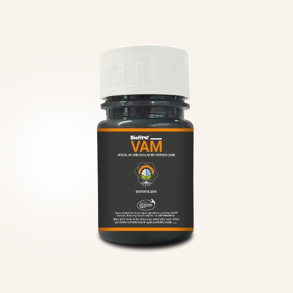  Vam 200Gm