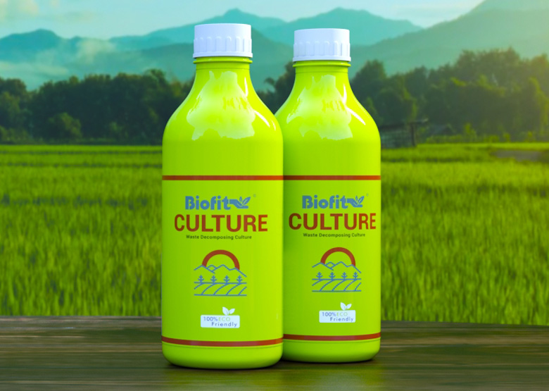 culture-banner-mobile