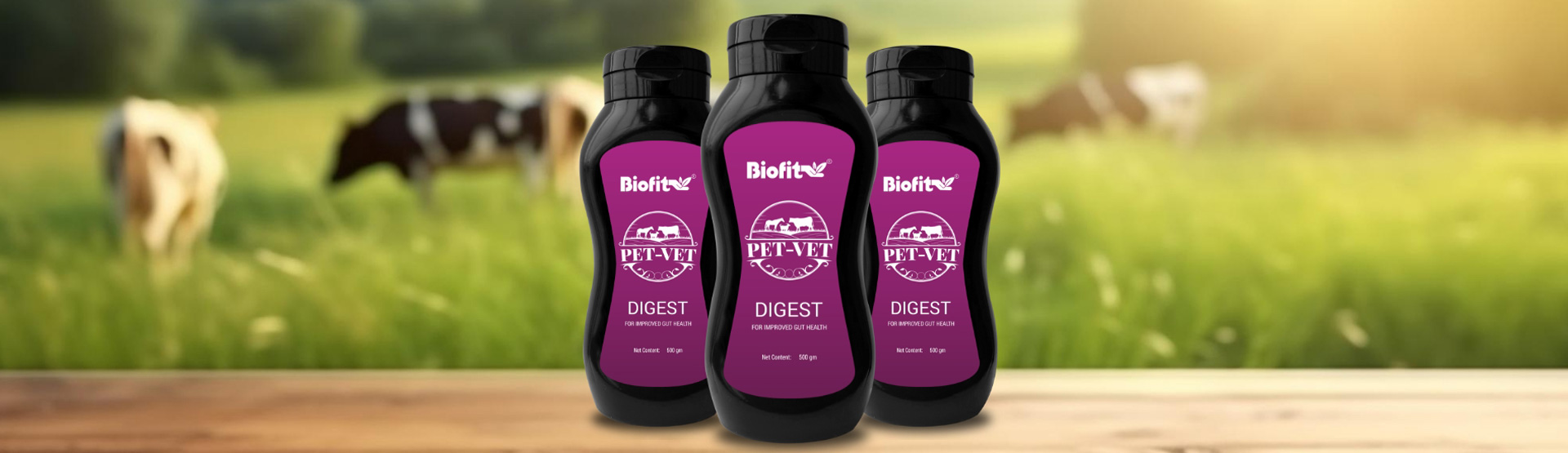 biofit-digest-banner