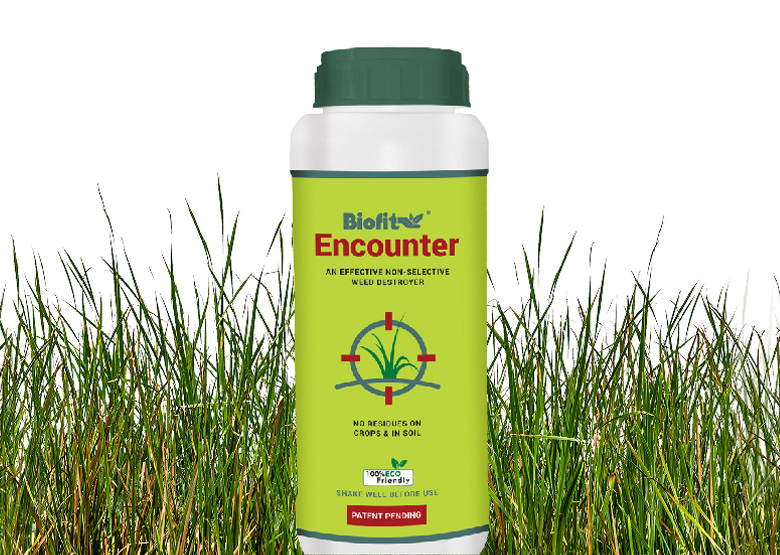 encounter-banner-mobile