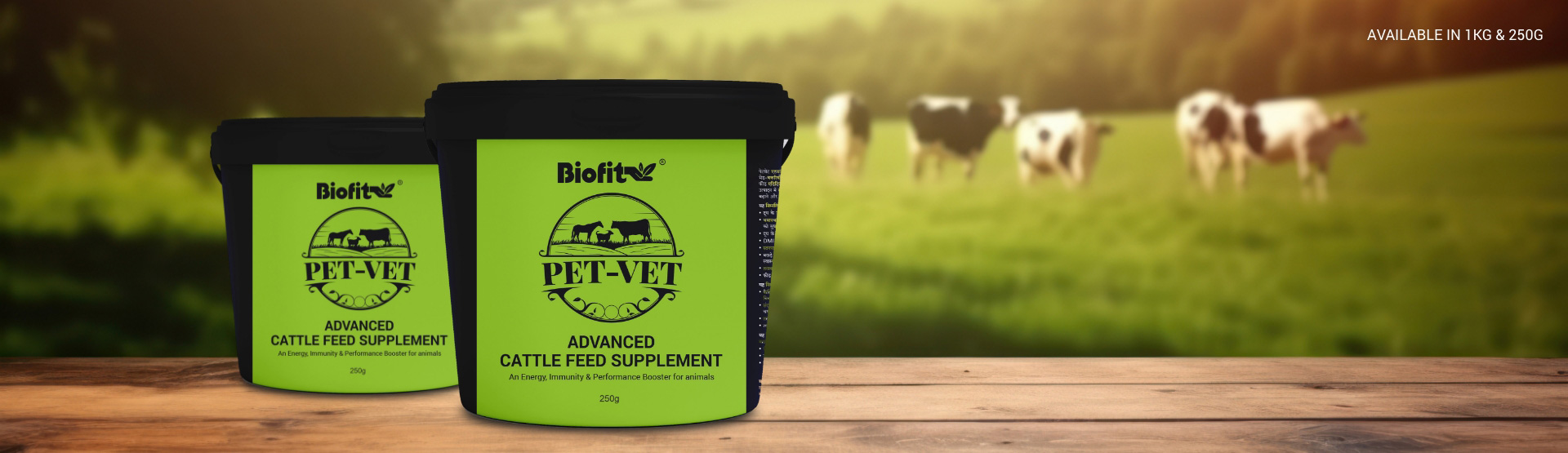 pet-vet-banner