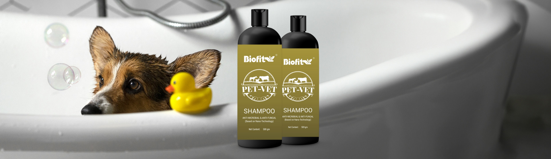 biofit-shampoo-banner