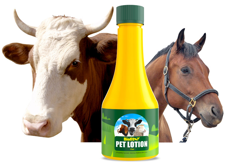 pet-lotion-banner-mobile