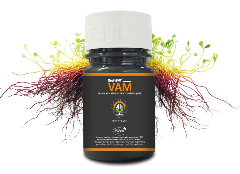 vam-banner-mobile