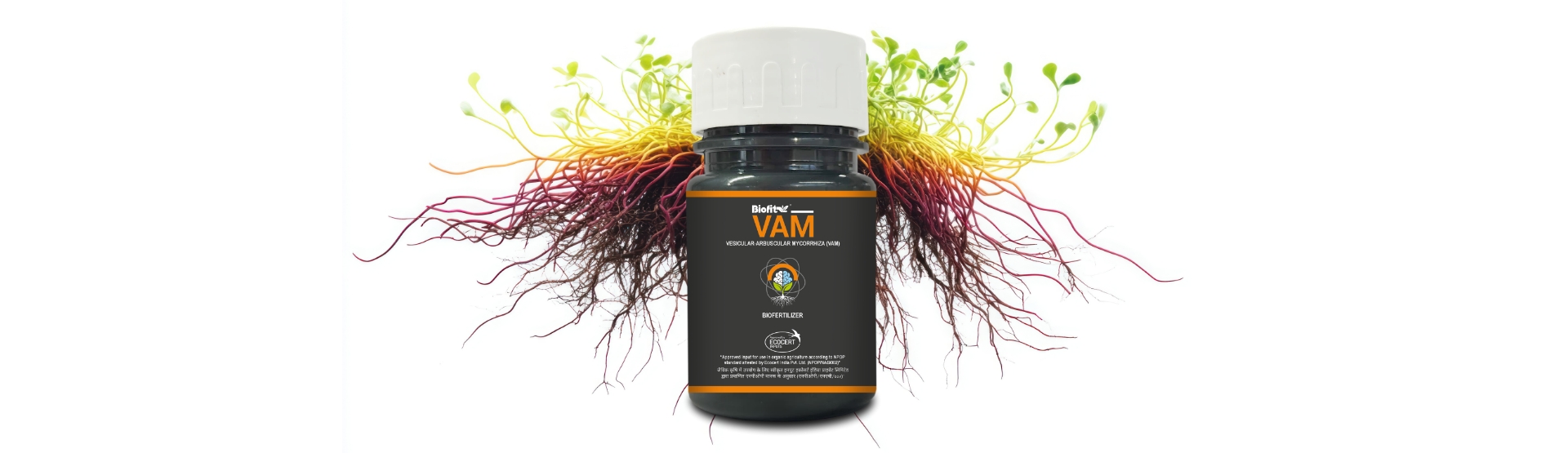 vam-banner
