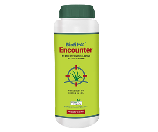 Encounter New 1 Ltr