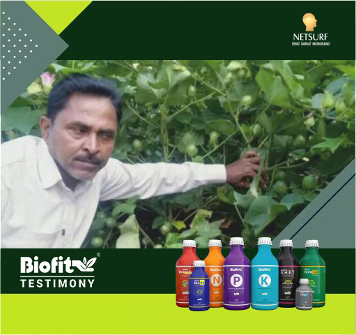 display-ashok